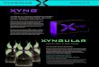 Xyngular Product Descriptions