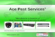 Ace Pest Services Delhi India