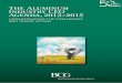 The aluminum industry ceo agenda 2013 - by BCG