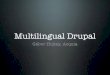 Multilingual Drupal