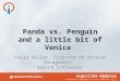 Panda vs Penguin and a little bit of Venice, Sept 11, 2013