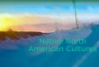 North american cultures  moundbuilders 1 adena