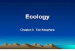 Ecology - The Biosphere