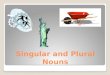 Singular/Plural Nouns