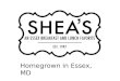 Shea's Restaurant Advertising Campaign 2011