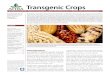 Transgenic Crops
