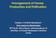 Ch 5 Management of Honey, Dr. Steve Payne, retired professor, LA Master Beekeepers Advisory Group Member