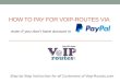 How to pay for voip-routes via paypal
