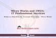 Micro Works Imsn Linkedin Presentation   2011