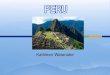 Peru nation report