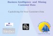 Business Intelligence and Mining Customer Data