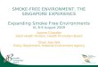 Sfe The Singaporean Experience