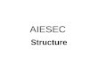 AIESEC Riga IS: 3. AIESEC Structure