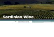 International Mediterranean Sardinian Wine