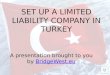 How to open a limited liability company (LTD) in Turkey