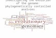 Investigating the evolution of the genome: Phylogenetically controlled analyses