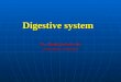 Anatomy Lecture: Digestive System (1st Semester)