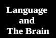 Language And Brain Development