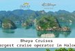 Bhaya cruises Presentation  update Dec.2013
