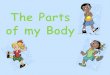 The parts of my Body