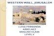 Western Wall - Jerusalem By Luisa Level 5