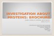 Investigation about proteins: Brochure
