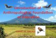 Anthropological foundation