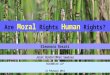Are moral rights human rights (E Rosati)