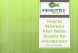 How to Maintain Fish Water Quality for Aquaponics by John Musser of Aquaponics and Earth