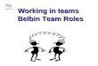 Belbin team-roles