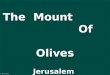 El Monte de los Olivos Jerusalem