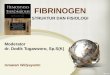 Fibrinogen, the great coagulant actor