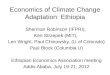 Economics of climate change adaptation ethiopia