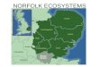 Norfolk Ecosystems