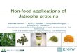 Non-food applications of Jatropha proteins