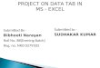 Project  data tabs