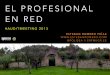 El profesional en red - Audit Meeting Madrid 2013