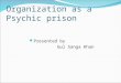 Organization as a Psychic prison