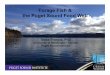 Forage Fish and the Puget Sound Food Web, a Science Cafe presentation