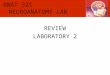 Anat 321 Review Lab 2