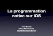 Web-In 2010: Programmation Native iOS (French)