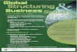 Global structuring  & business set up