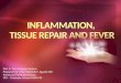 Inflammation, Tissue repair and fever