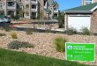 Villas at Aspen Ridge Condominiums- Site Renovation Phase 1 & 2