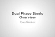 Dual phase steels (1)