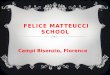 Matteucci school