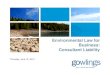 Environmental Law for Business: Consultant Liability