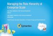 Managing the Role Hierarchy at Enterprise Scale