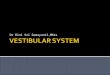 Vestibular system 2013