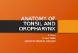 Anatomy of tonsil and oropharynx